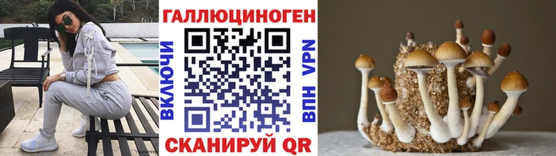 MEGA Петров Вал Галлюциногенные грибы MAGIC MUSHROOMS купить наркотик